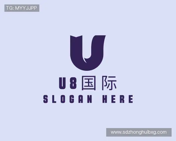 关于U8国际